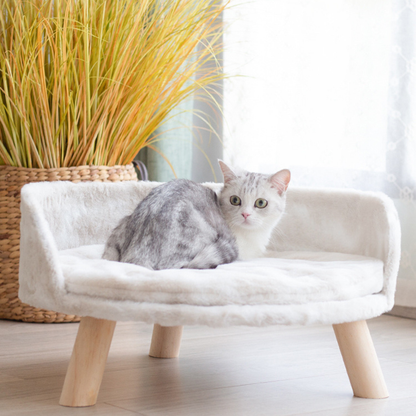 Plush Luxury Cat Bed with Cozy Cushion Pad