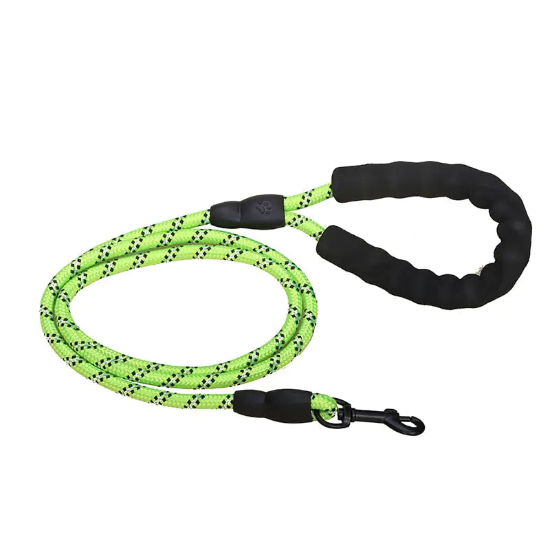 Premium Quality Nylon Leash