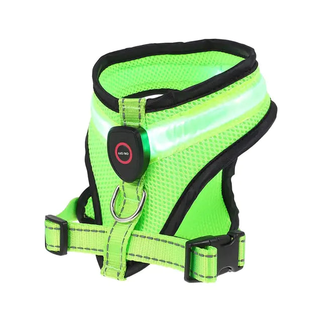 LED Dog Harness