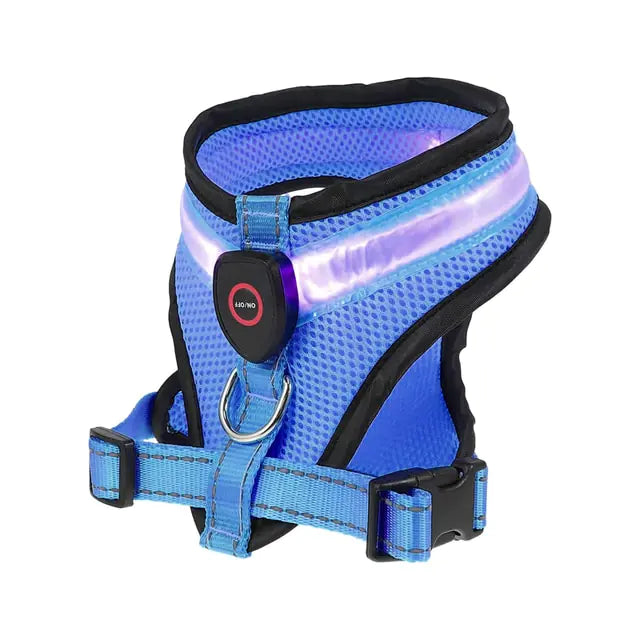 LED Dog Harness