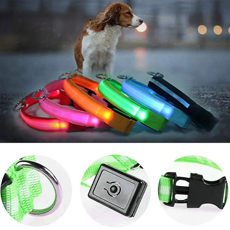 LED Dog Collar