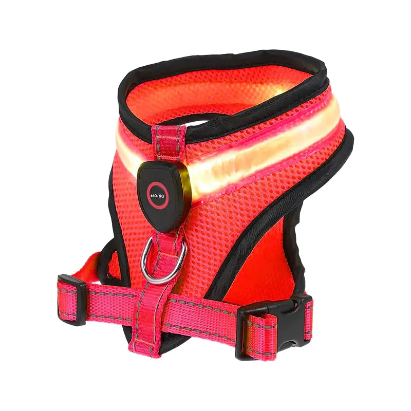 LED Dog Harness