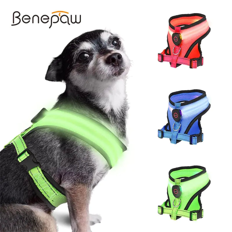 LED Dog Harness