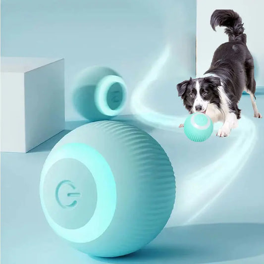 Self-Moving Dog Toy